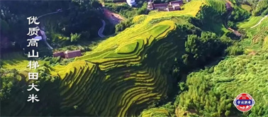 香港宝典免费大全