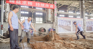 香港宝典免费大全