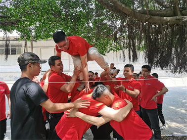 香港宝典免费大全